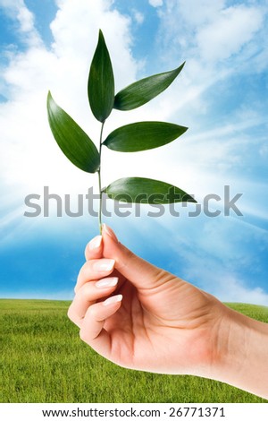 Hand holding a new plant against green hill and blue cloudy sky whit sun