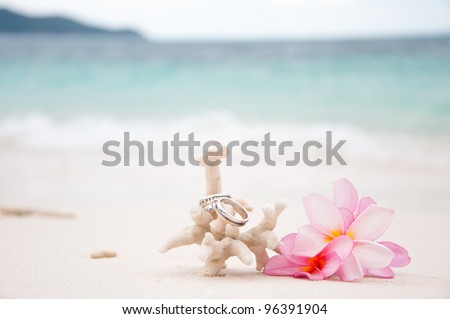 Two wedding rings on coral in front of the seaside Two wedding rings on coral in front of the seaside