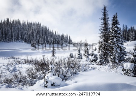 Wolf Creek Pass Mountain Summit in Snowy Colorado Winter