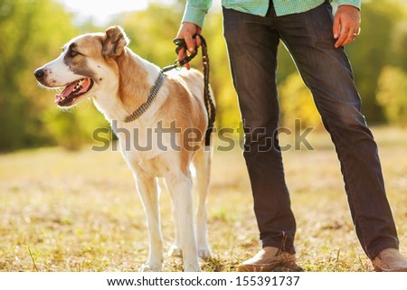 Man and central Asian shepherd in park