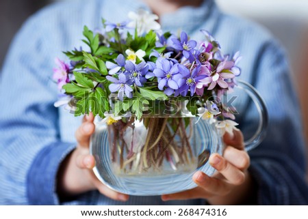 Little hands, holding glass vase with forest spring flower bouquet, close up
