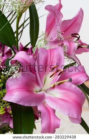 Pink lilies bouquet on a white background, green leaves