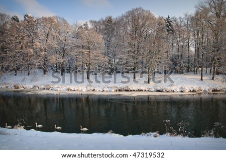 Winter landscape with the river in frosty day with frozen trees and birds in the river