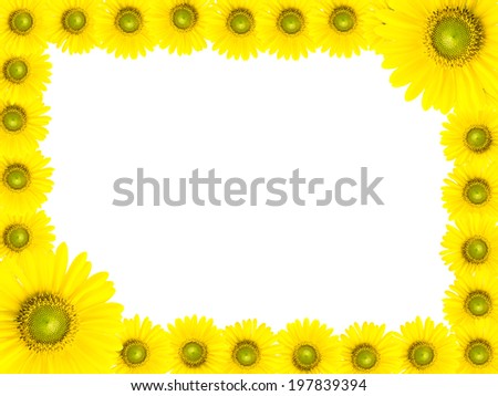 Sunflower frame isolated on a white background