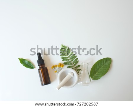 cosmetic laboratory experiment and research with leaf,oil and ingredient for natural beauty and organic skincare product the blank bottle for label ,bio science concept. alternative medicine. spa.