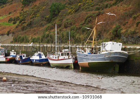 Boats moored at low tide below a gorse covered hillside resting on the exposed mud flats, Isle of Man