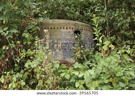 An old abandoned boiler in tangled undergrowth