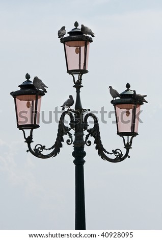 Pigeons sitting atop an ornate Venetian wrought iron lamp post.
