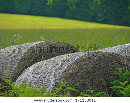 Few spherical straw packs laid on grass field