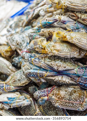 Fresh raw flower crab Flower crab,  blue swimmer crab, blue manna crab, Sand crab or blue crab (Portunus pelagicus) at Thailand fresh market