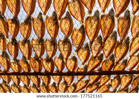 Dried fish dry in sunlight. Dried fish is dry foodstuff, this food product by mix salt with fresh fish and then place them under sunlight. We can use for long time