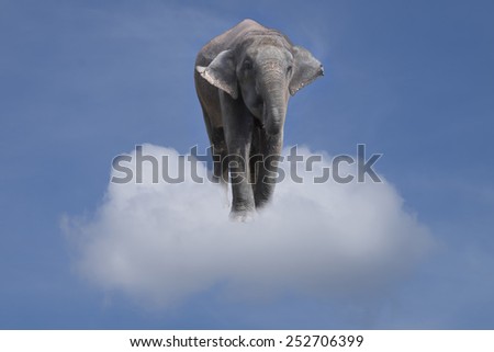 elephant in the clouds - lightness and fantasy concept