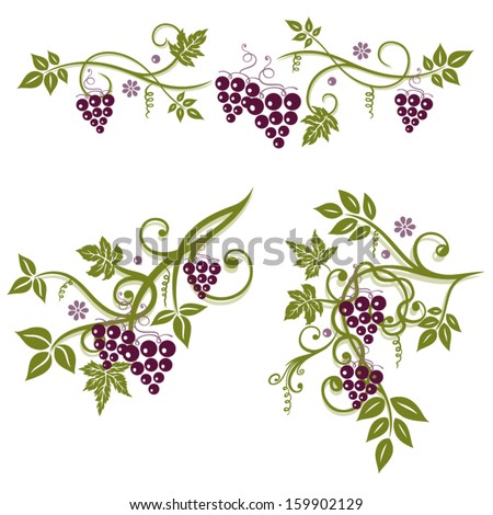 Vector Set, Vine Leaves With Grapes