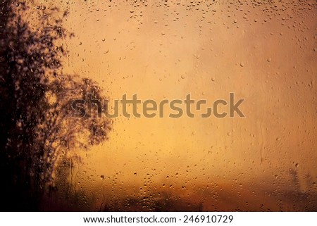 look at the misty dawn through a window with raindrops