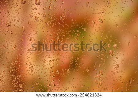 look at the bright autumn leaves through the glass with raindrops