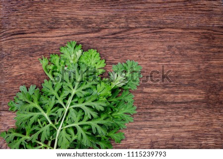 Herbal frame with Artemisia absinthium ( absinthe, absinthium, absinthe wormwood, wormwood ) leaves on  brown wooden background, close up