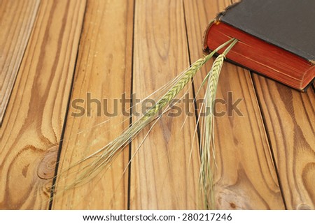Two green ears on the background of old closed  black  books an old rustic wooden brown plank background
