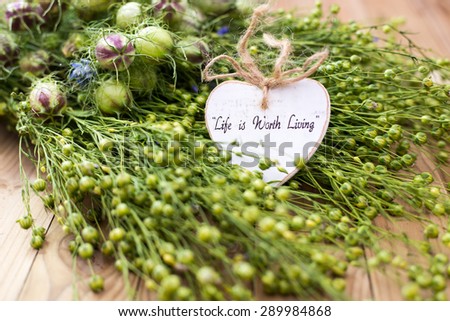 Life is Worth Living - text on a decorative white wooden heart on green flax twig  with  seeds background, Focus on the word Life