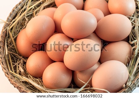Brown Eggs on white background