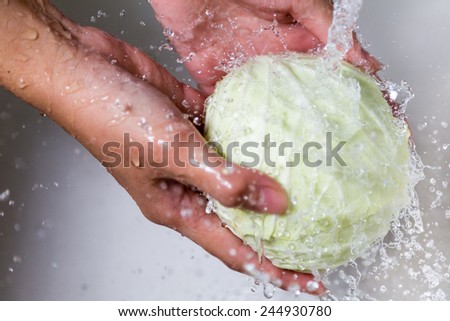 Female hands washing cabbage