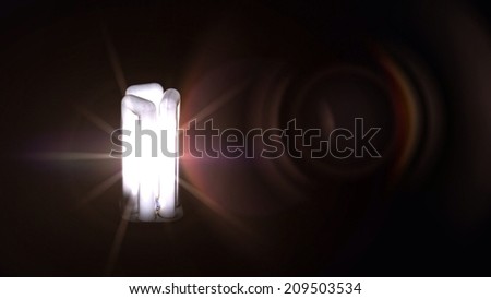 A light in the darkness. Energy-saving Blum illuminated on black background with lens flare and copy space.