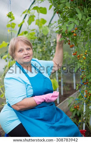 Happy pensioner woman wearing apron and gloves in greenhouse