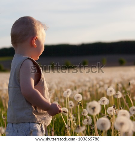 Baby boy in dandelion meadow