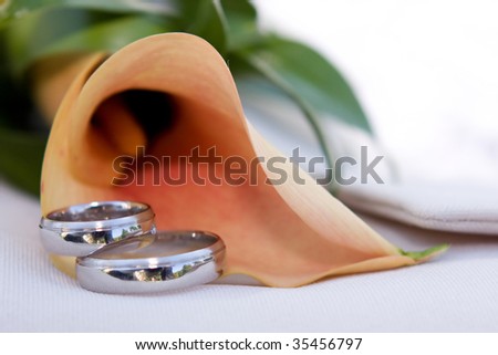 stock photo wedding details silver wedding rings with a bouquet