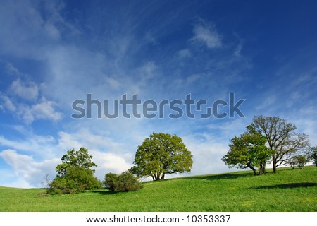 hill with trees in Germany