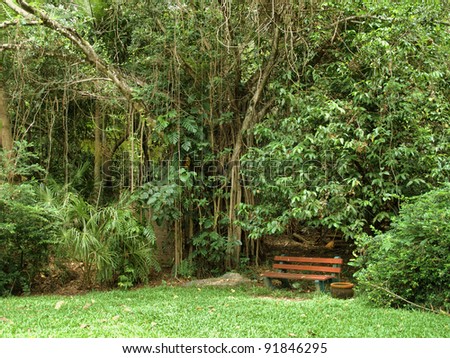 garden bench in the Botanic Garden in Cairns, Queensland (Australia)