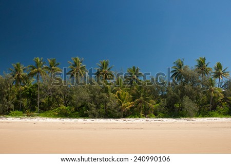 Tropical Beach, Port Douglas, Queensland, Australia