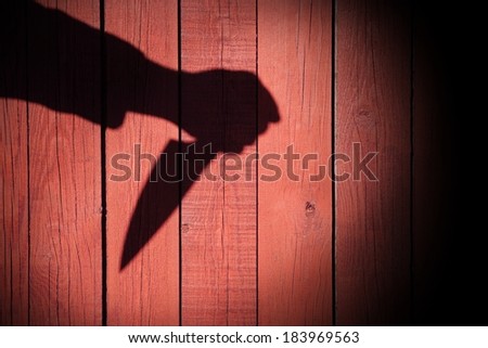 Male Hand Shadow with Kitchen Knife, on natural wooden background. You can see more silhouettes and shadows on my page.
