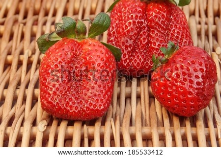 Three Fresh Summer Organic Strawberries Still Life, with space for text or image.