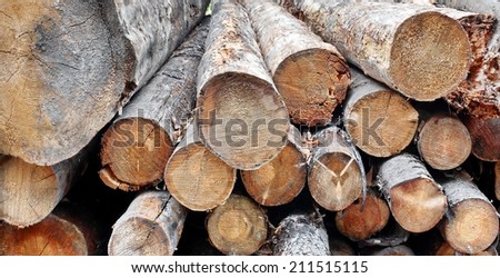 Woodpile of cut Lumber for forestry industry