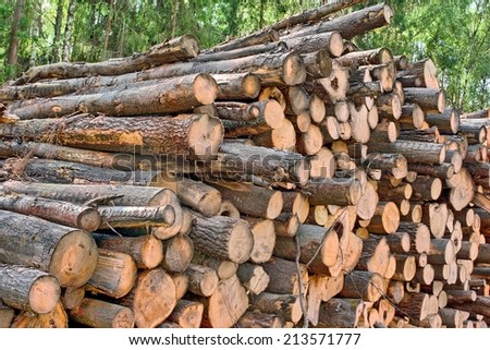 Woodpile of cut Lumber for forestry industry. Background with space for text or image.