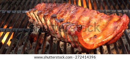 BBQ Baby Back Spicy Marinated And Smoked Pork Ribs On The Hot Charcoal Grill With Bright Flames On Black Background. Good Snack For Outdoor Party Or Picnic