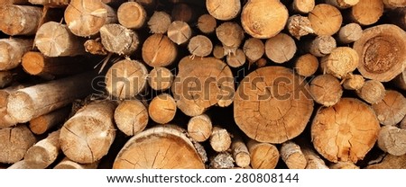 Woodpile From Big Pine And Fir Tree Logs For Forestry Industry. Background And Texture With Space For Text Or Image