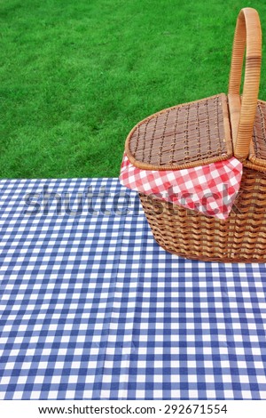 Outdoor Rustic Picnic Table  With Hamper And Blue Checkered Tablecloth On The Lawn In The Park Rest Area. Breaking Concept