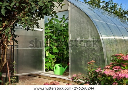 Vegetables Plants Growing In A Greenhouse Witch Made From Metal Profile And Polycarbonate Sheets On The Backyard Garden