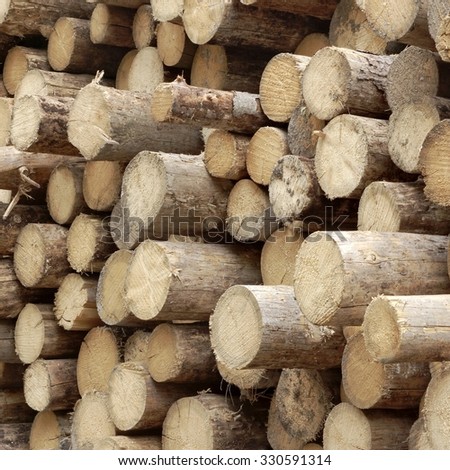 Timber Harvesting For Lumber Industry Or  Wooden Housing Construction Concept. Large Woodpile From Sawn Debarked Pine Wood Logs