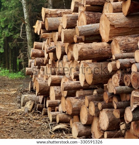 Timber Harvesting For Lumber Industry Or  Wooden Housing Construction Concept. Large Woodpile From Sawn Debarked Pine Wood Logs