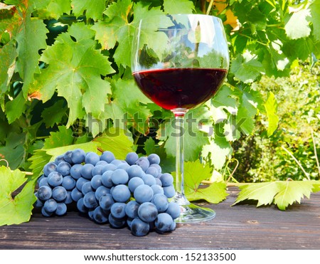 Red Wine And Red Grapes