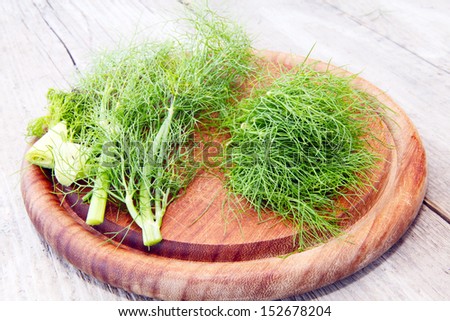 fennel, fennel green