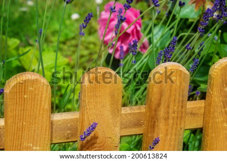 Wooden fence in garden