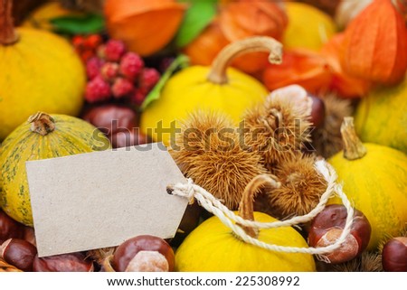 Autumn fruits, label to fall decoration