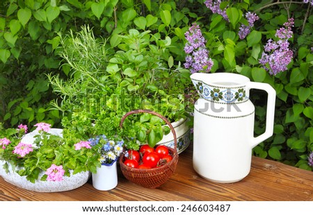 Herbs, tomatoes, flowers