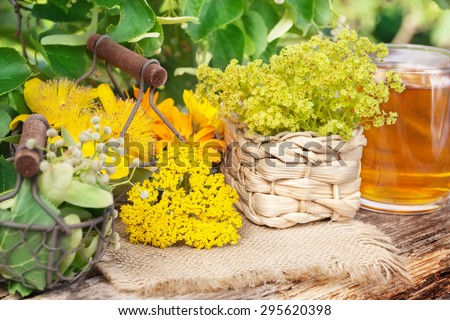 Medicinal plants, gathered medicinal herbs, herbal tea