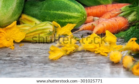 Cucumbers, carrots, dill, pumpkin flowers, freshly harvested on the garden table