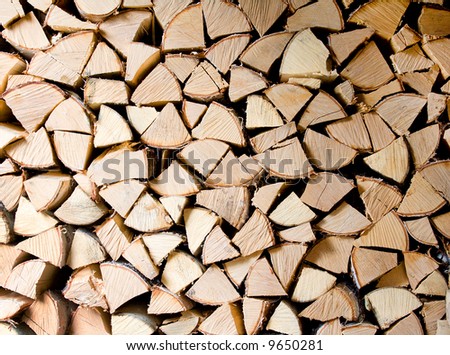 It is a lot of fire wood combined for winter in a shed
