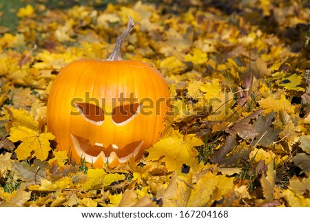 Carved pumpkin sitting in a pile of leaves